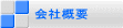 ЊTv